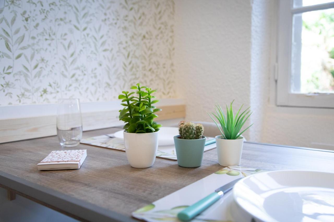 Appartement Le So'Green - Au Cœur De Toulouse - Netflix Extérieur photo